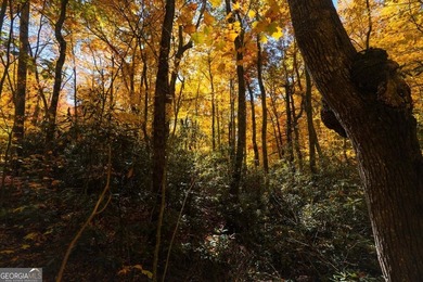 Hiking anyone? This 7.18 acres at an elevation of over 3000 feet - photo 19
