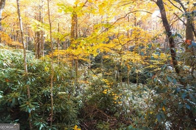 Hiking anyone? This 7.18 acres at an elevation of over 3000 feet - photo 20