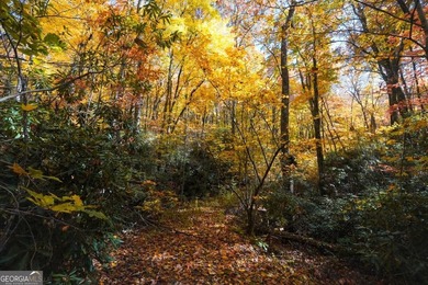 Hiking anyone? This 7.18 acres at an elevation of over 3000 feet - photo 21