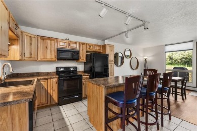 Lake Condo For Sale in Dillon, Colorado