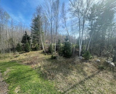 Private and economical 2 bedroom home, sits on 4.01 +/- acres - photo 5