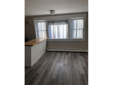 This beautifully renovated 2-unit home by JDN Properties offers - photo 11