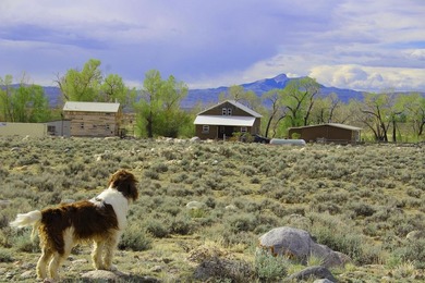 This property is true Wyoming living. 20 fenced acres. 3