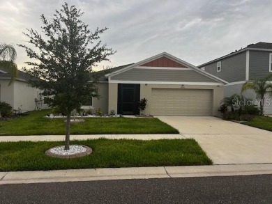 (private lake, pond, creek) Home For Sale in Riverview Florida