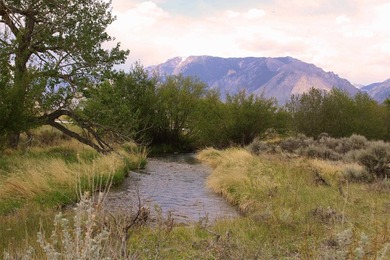 This property is true Wyoming living. 20 fenced acres. 3 - photo 6