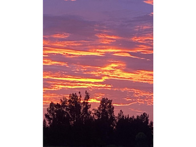 Discover tranquility in Fort Pierce with this piece of paradise - photo 6