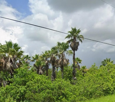 Discover tranquility in Fort Pierce with this piece of paradise - photo 8