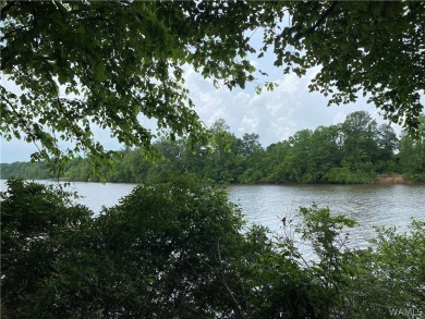 Lake Lot For Sale in Eutaw, Alabama