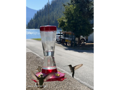 Enjoy lake and mountain views from your covered deck, a - photo 21