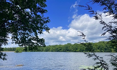 Attractive 3BR 2Bth cedar sided lakefront ranch offers stunning - photo 5