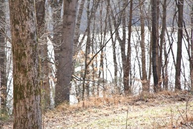 AWESOME YEAR-ROUND WATER WITH SEASONAL LAKE VIEWS! NEW PRICE-$60 - photo 1