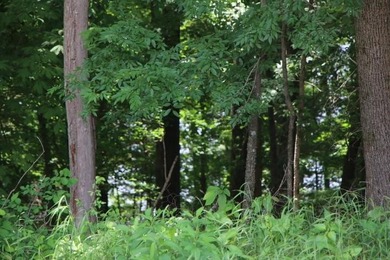 AWESOME YEAR-ROUND WATER WITH SEASONAL LAKE VIEWS! NEW PRICE-$60 - photo 2