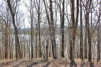 AWESOME YEAR-ROUND WATER WITH SEASONAL LAKE VIEWS! NEW PRICE-$60 - photo 3