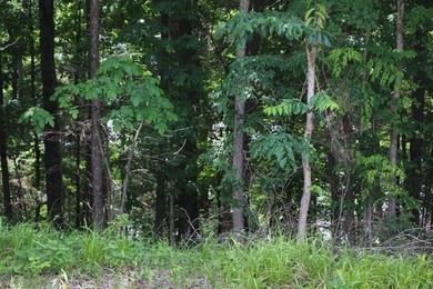 AWESOME YEAR-ROUND WATER WITH SEASONAL LAKE VIEWS! NEW PRICE-$60 - photo 4
