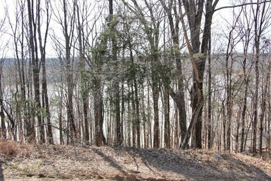 AWESOME YEAR-ROUND WATER WITH SEASONAL LAKE VIEWS! NEW PRICE-$60 - photo 6