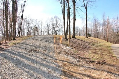 AWESOME YEAR-ROUND WATER WITH SEASONAL LAKE VIEWS! NEW PRICE-$60 - photo 8