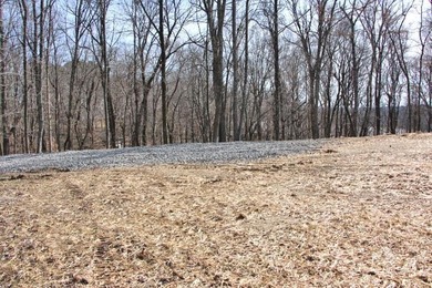 AWESOME YEAR-ROUND WATER WITH SEASONAL LAKE VIEWS! NEW PRICE-$60 - photo 9