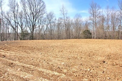 AWESOME YEAR-ROUND WATER WITH SEASONAL LAKE VIEWS! NEW PRICE-$60 - photo 10