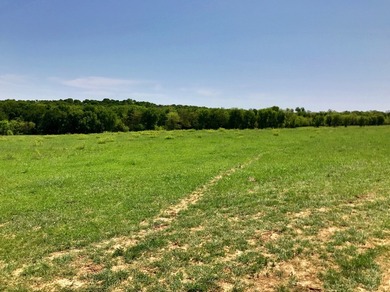 127+/- Acres of Prime Pastureland with Creek Frontage & Abundant - photo 11