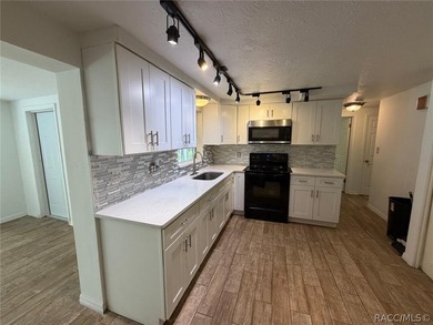 Move-in ready and beautifully updated, this inviting home - photo 12