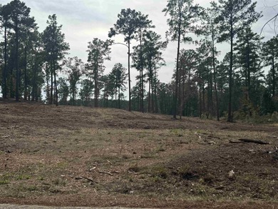 Lake Sam Rayburn  Lot For Sale in Brookeland Texas