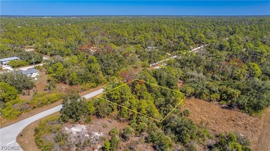 Build your dream home on this single-family residential lot - photo 11