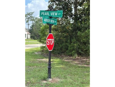 Build your dream home in the sought after Bluffs Subdivision of - photo 1