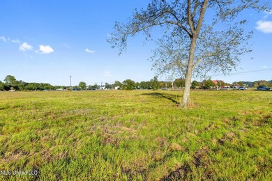 Prime commercial property located at the intersection of HWY 90 - photo 12
