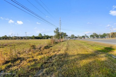 Prime commercial property located at the intersection of HWY 90 - photo 13