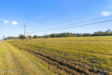 Prime commercial property located at the intersection of HWY 90 - photo 15