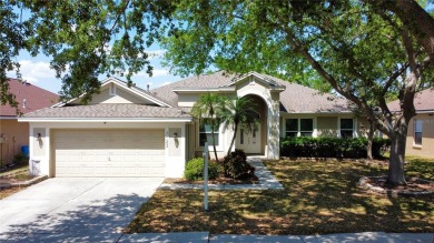 Lake Home Sale Pending in Riverview, Florida