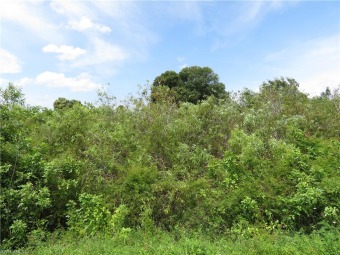 Caloosahatchee River - Glades County Lot For Sale in Moore Haven Florida