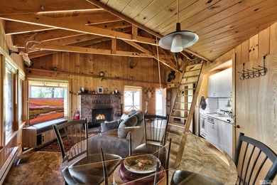 Furnished and owner finance oppurtunity! Escape to Jobs Peak - photo 58