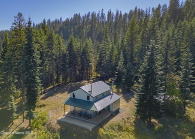 Dworshak Reservoir Home For Sale in Orofino Idaho
