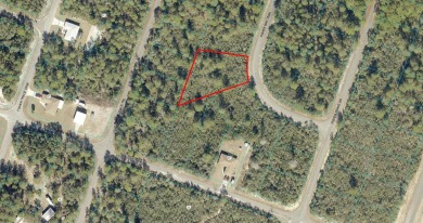 Lake Weir Lot For Sale in Ocklawaha Florida