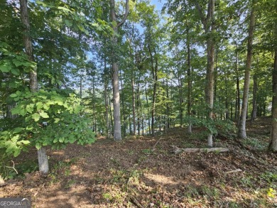 Lake Lot For Sale in Toccoa, Georgia