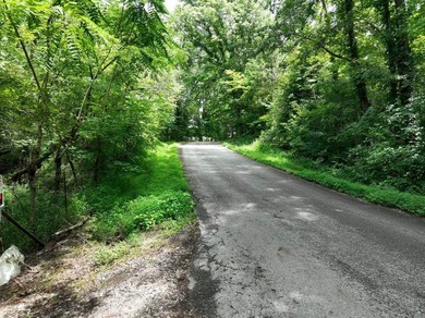 This 5.01-acre tract in Park City offers gently rolling hills, a - photo 5