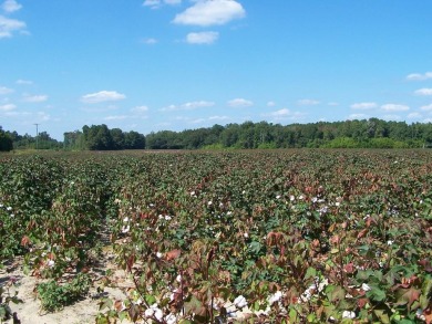 Lake Acreage Sale Pending in Elloree, South Carolina