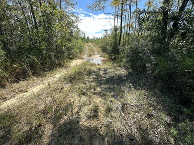 (private lake, pond, creek) Acreage For Sale in Laurel Hill Florida