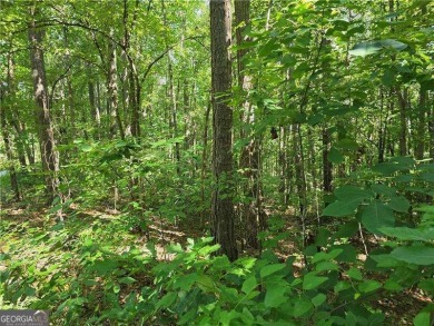 (private lake, pond, creek) Acreage For Sale in Ball Ground Georgia