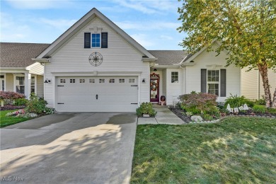 Lake Erie - Lorain County Home Sale Pending in Avon Lake Ohio