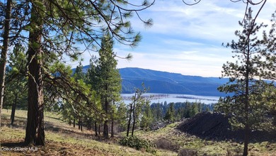 Enjoy sweeping views of Round Lake, Chatcolet Lake, and the St - photo 4