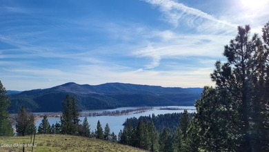 Enjoy sweeping views of Round Lake, Chatcolet Lake, and the St - photo 9