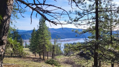 Enjoy sweeping views of Round Lake, Chatcolet Lake, and the St - photo 10