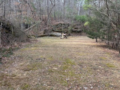 Smith Lake (West Side, Yellow Creek) Over 9 acres to live out - photo 29