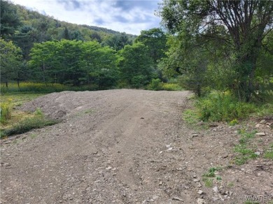 Lake Lot For Sale in Great Valley, New York