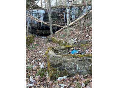 Smith Lake (West Side, Yellow Creek) Over 9 acres to live out - photo 48
