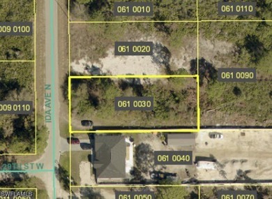 Lehigh Acres Area Lot For Sale in Lehigh Acres Florida