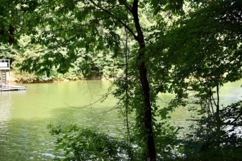Waterfront Lot on Lake Hartwell with Dock Approval - Lake Lot For Sale in Lavonia, Georgia
