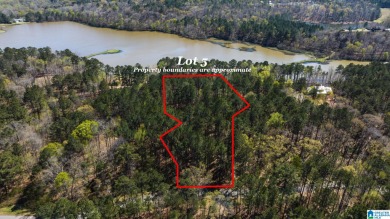(private lake, pond, creek) Acreage For Sale in Chelsea Alabama
